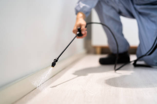 Rodent Entry Point Assessment in Greensburg