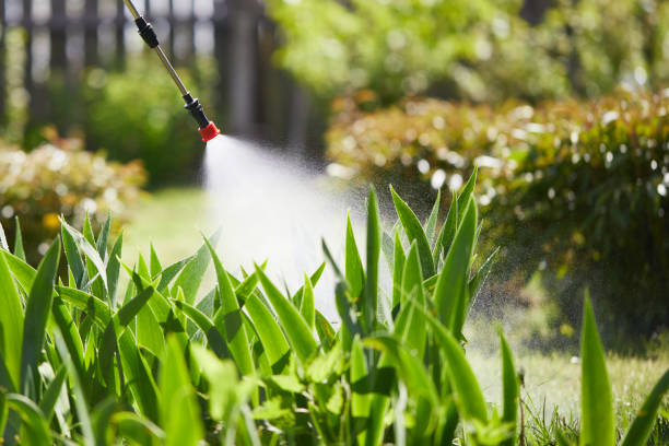 Tamper-Resistant Bait Stations for Rodents in Greensburg