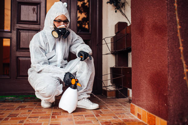 Attic and Crawl Space Rodent Treatment in Greensburg