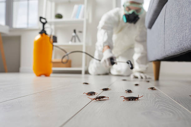 Commercial Rodent Management in Greensburg